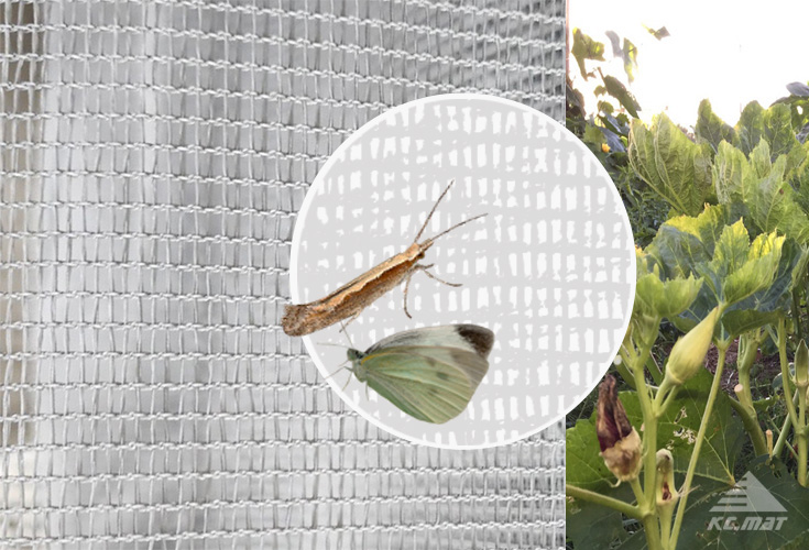 Insect Proof Net Size - Successful Mat, Anti-Insect Mesh Supplier
