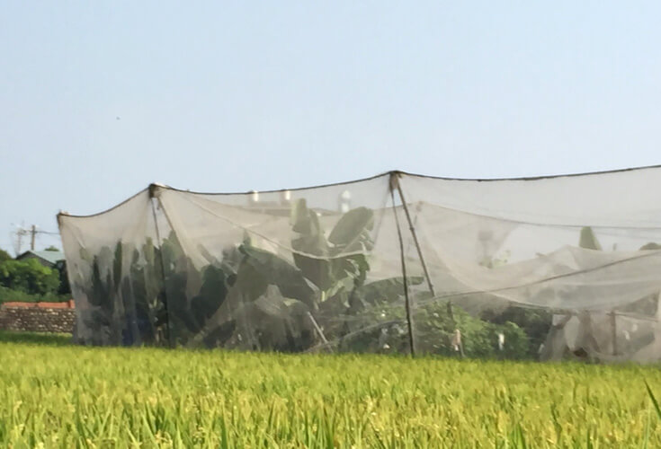 HDPE Farming Greenhouse Sun Shade Net with UV Blockage